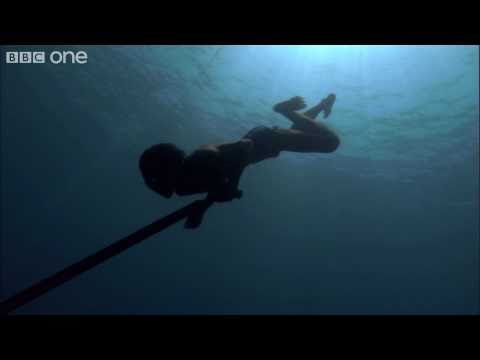 Sea Bed Hunting On One Breath - Human Planet: Oceans, preview - BBC One