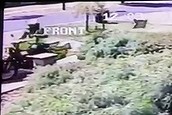 Postie caught throwing parcel in bushes (Thumbnail)