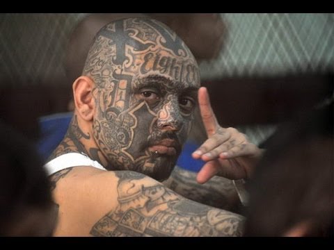 LOS ZETAS - The Criminal Syndicate - Documentary 2013