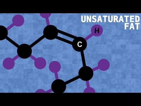 Saturated vs. Unsaturated Fats - Bite Sci-zed