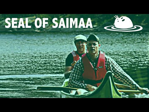 Seal of Saimaa - English