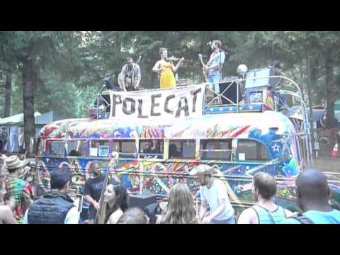 Polecat NWSS 2013