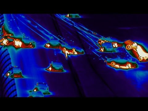 Last Lap Crash Thermal Cam - Budweiser Duel 2 - 2014 NASCAR Sprint Cup