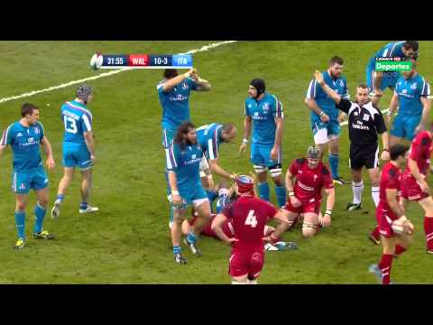 2014 SixNations Wales v Italy