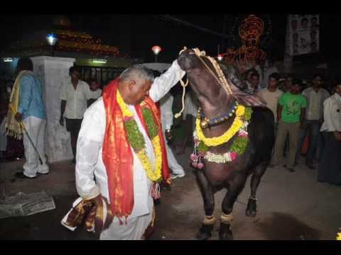 Madhapur Sadar Sandadi