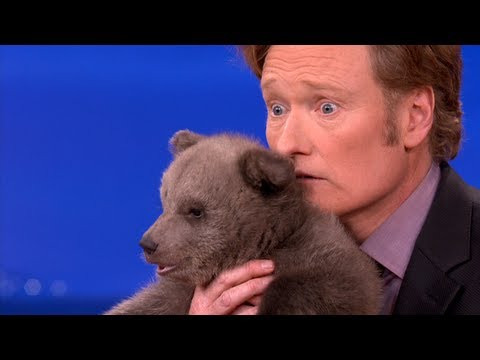 Animal Expert David Mizejewski: Brown Bear Cub & Baby Alligator - CONAN on TBS