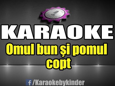 stil Mircea Rusu Band - Omul bun şi pomul copt [Karaoke by kinder]