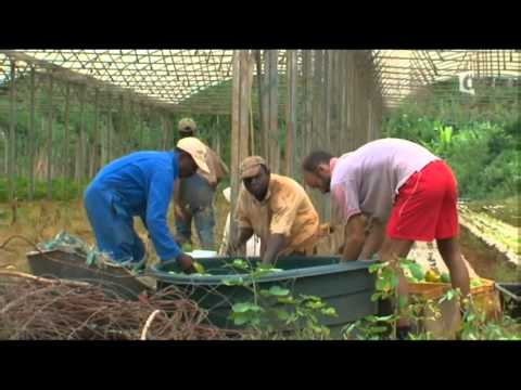 Reportage sur l'île de Mayotte