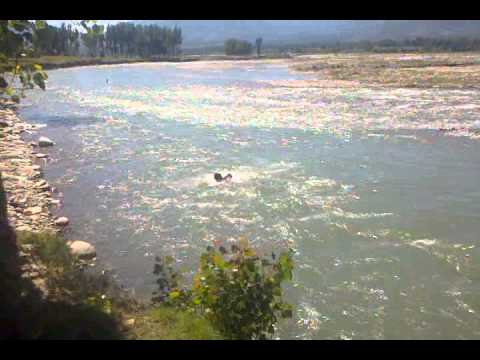 Qambar Swat River Karim ullah khan Swimming Vedio