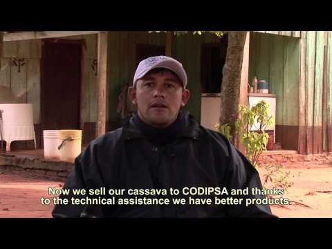 Cassava for economic development, USAID and Paraguay Productivo