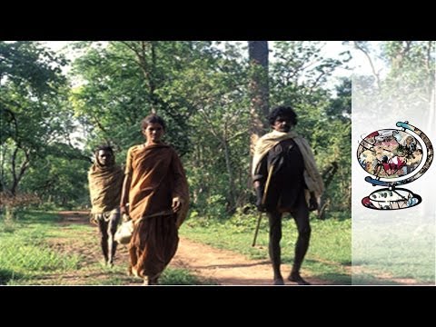 Children of the Forest - India