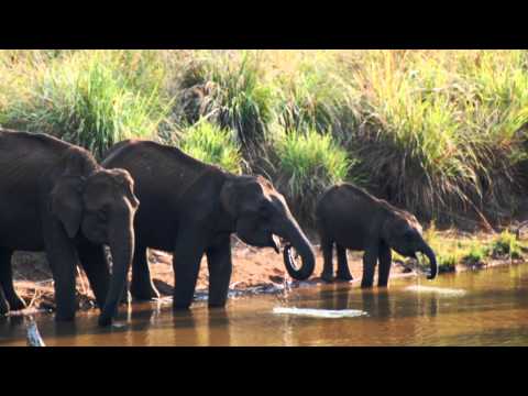 Anshi National Park, Karnataka, India - Heaven on Earth HD 1080p