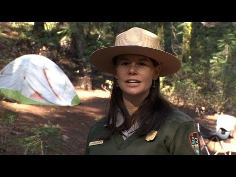 Camping in Yosemite