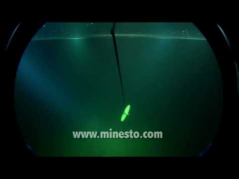 Minesto Tidal Energy