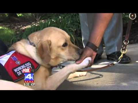 Service Dog Helps Veteran with PTSD