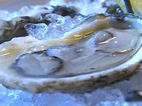 How to Shuck an Oyster