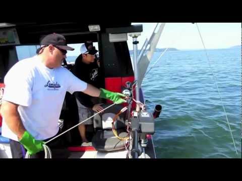 Puget Sound Crabbing