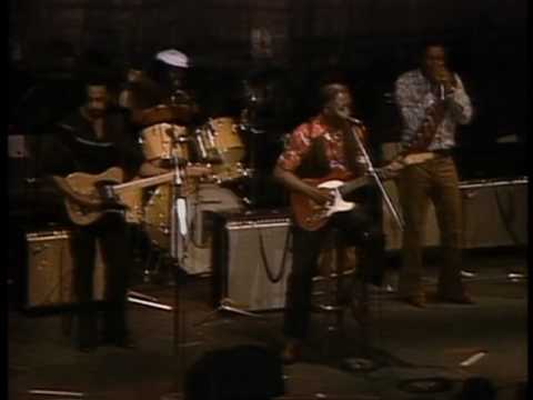 Muddy Waters - Baby Please Don't Go - ChicagoFest 1981