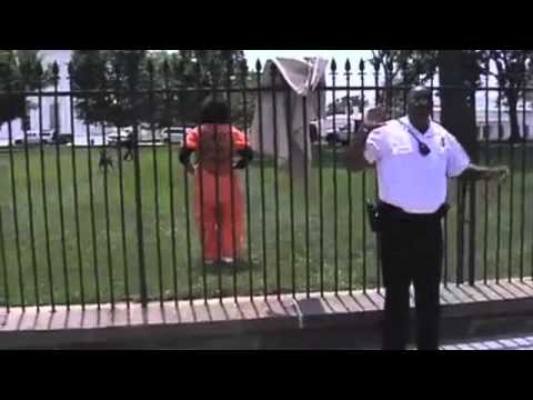 Diane Wilson of CODEPINK jumps over White House fence