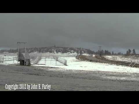 Winter Thunderstorm with Graupel and CG Lighting, Archuleta County, CO