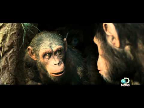 Rise of the Planet of the Apes' Serkis Becomes an Ape