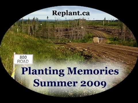 Replant.ca 2009 Summer Tree Planting Memories