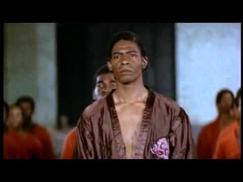 The Warriors Trailer (1979) Trailer (Michael Beck, James Remar, Dorsey Wright)