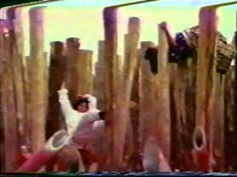 Secret Of The Shaolin Poles