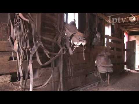 Barn Restoration