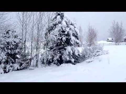 Jackson hole fine artist Jennifer Adams- a snowy morning in Wyoming :)