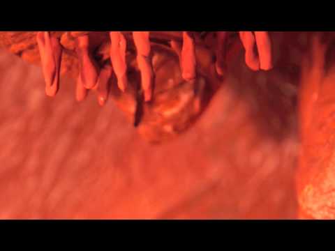 How limestone caves are formed - claymation