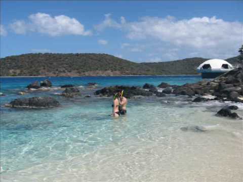 Fish Feeding Frenzy at Coki Beach - St. Thomas, US Virgin Islands