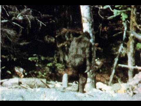 Bigfoot in Washington State (Documentary)