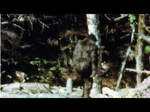 Bigfoot in Washington State [FULL DOCUMENTARY]