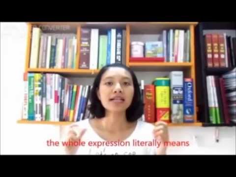 Learn Vietnamese Language With Annie - Lesson 01: 5 common expressions in Vietnamese