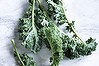 Hail kale: It's the new juicing star, but don't overcook it.