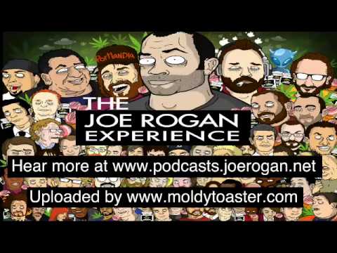 JRE    #113   Brian Posehn, Brian Redban   The Joe Rogan Experience Podcast