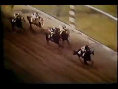 Secretariat - Preakness Stakes 1973