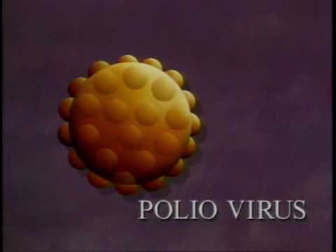 Viruses and Journalism: Poliovirus expressing HIV epitopes