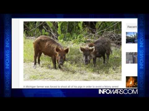 Feral Gov Attacks Family Farm