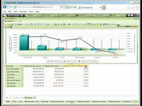 Basic Charting in Business Intelligence Portal by Enterprise Software Solutions, LLC