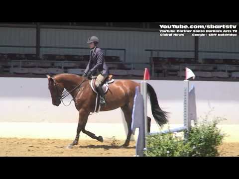 Horse Hunter Jumpers Santa Barbara National Horse Show Sports News