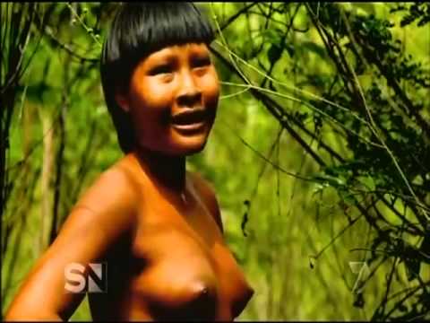 Amazing wild life in AMAZON HD  (part 1)