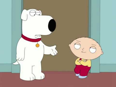 Family Guy Stewie Say What