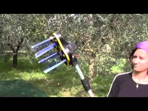 Scuotitore per la Raccolta delle Olive Macchine Elettriche per la Raccolta delle Olive Ragno Olive