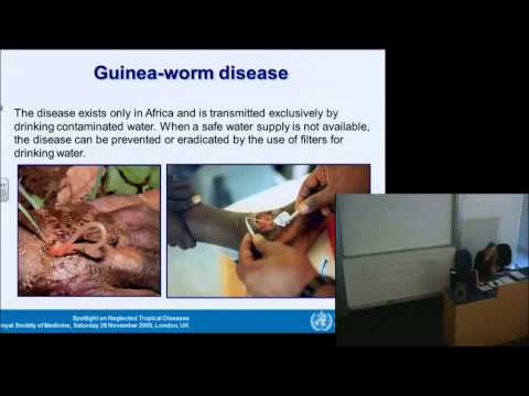 Addressing the MDGs:  Eliminating Neglected Tropical Diseases