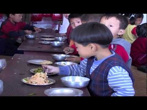 World Food Programme: Improving Nutrition, Improving Lives