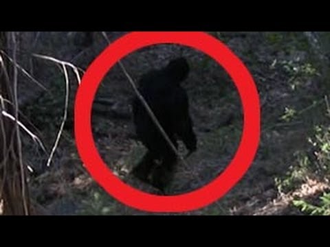 Bigfoot Sasquatch California Justin Smeja