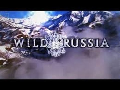 SIBERIA: WILD RUSSIA - Animals/Wildlife/Nature (documentary)