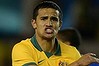 Injury cloud: Tim Cahill.